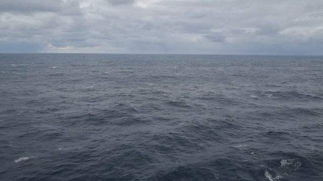 25 апреля 2024 г. смотреть онлайн