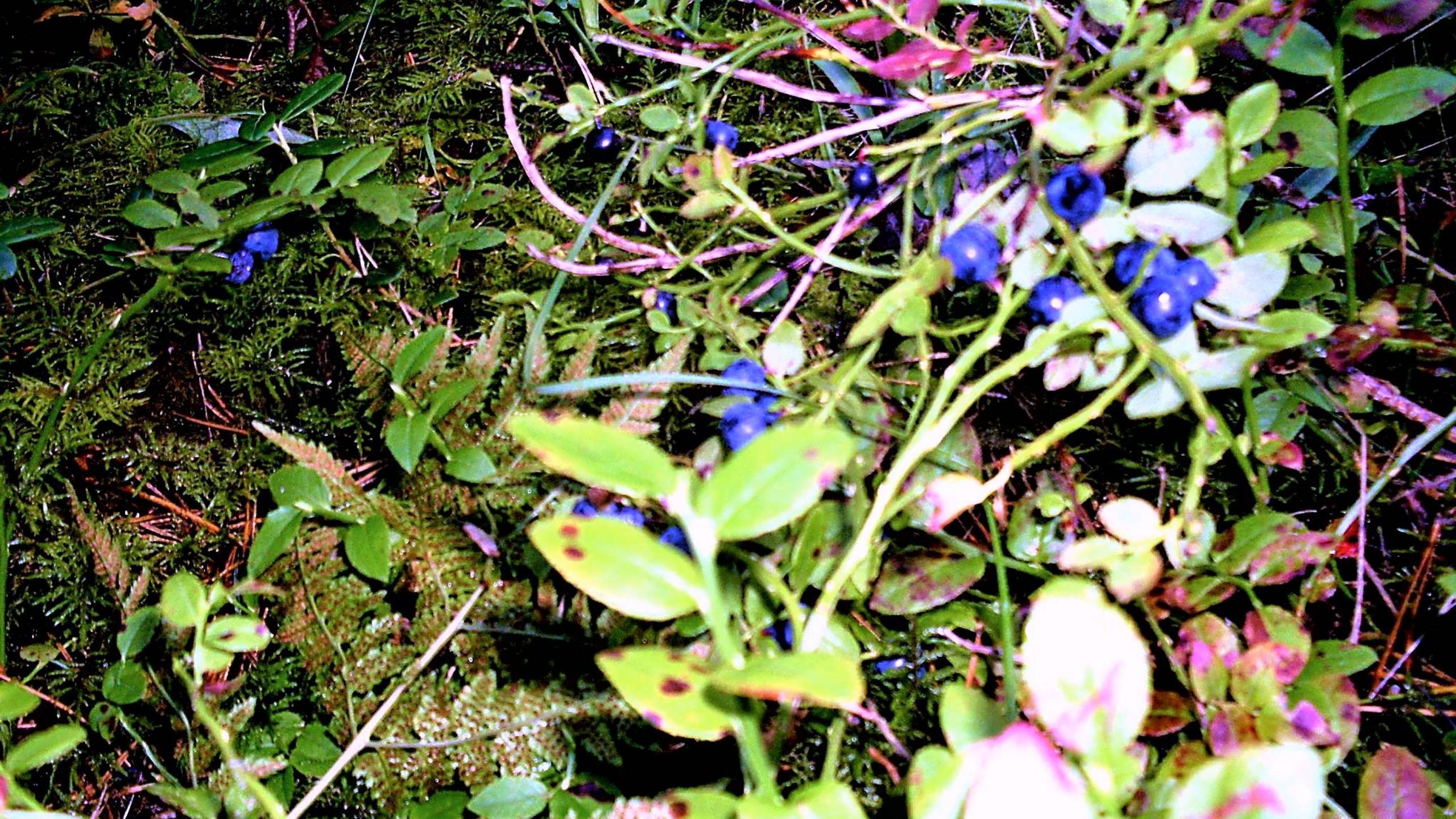 Чудо- моя женщина смотреть онлайн