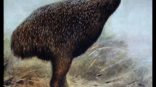 Moa Kuşu Nasıl Kuştur? Nesli Neden Tükendi? Özellikleri, Gerçekler смотреть онлайн