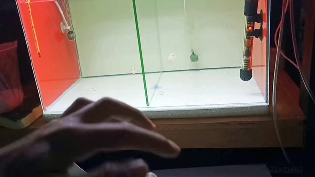 Diy: Filter aquarium aerator - Filter Catridge Recent AA2803F смотреть онлайн