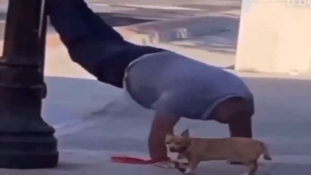 Тест на шизу - уровень транспортир смотреть онлайн