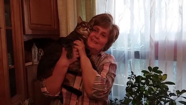 Мне сегодня 15 смотреть онлайн