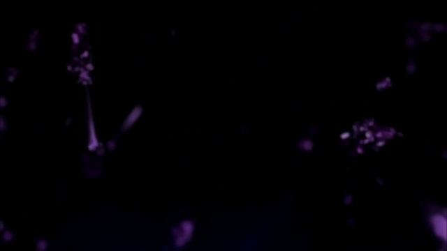 Sword Art Online All Openings/Мастера меча онлайн все опенинги