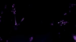 Sword Art Online All Openings/Мастера меча онлайн все опенинги