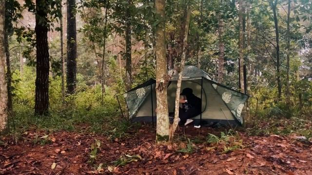 SOLO CAMPING IN HEAVY RAIN - RELAXING CAMPING IN RAIN FOREST - ASMR смотреть онлайн