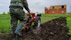 мотоблок мтз  пашет целину