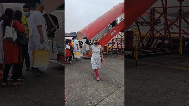 spice JT udhi #short #spicejet #online смотреть онлайн