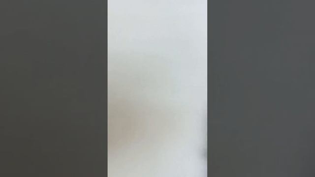 6 мая 2024 г. смотреть онлайн