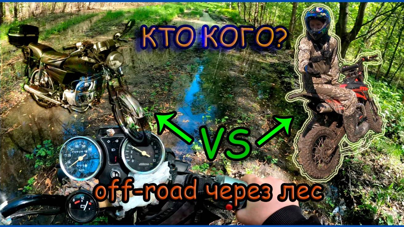 Эндуро покатушки по лесу. Альфа VS TTR смотреть онлайн