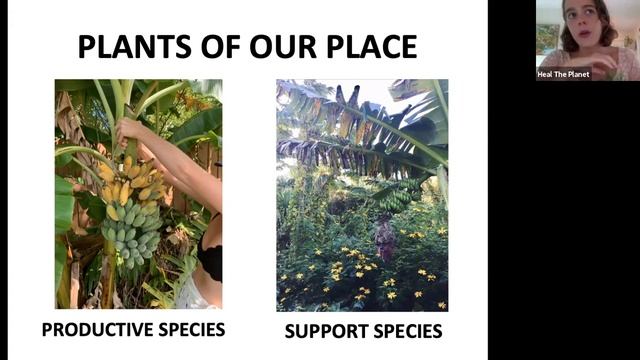 Creating A Food Forest Permaculture Workshop смотреть онлайн