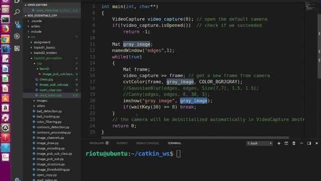 13.13. OpenCV (C++)  Video InputOutput смотреть онлайн
