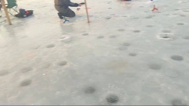 WhatsApp Video 2025-01-19 at 09.57.04 смотреть онлайн