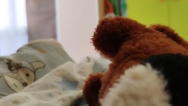 313 серия защищайтесь сударь смотреть онлайн