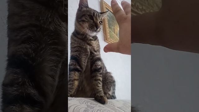 10 февраля 2023 г. смотреть онлайн