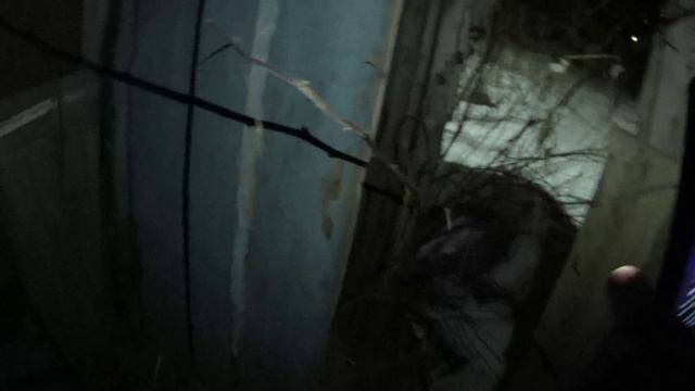 ВДВОЕМ С ДРУГОМ НОЧЬЮ НА ЗАБРОШКЕ!НАПАЛА СОБАКА!!!!!!!