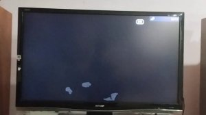 Обзор на DVD-диск Лунтик. Сезон 6. Выпуск 3: "Добрый волшебник".