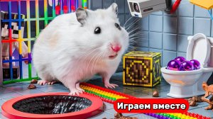 Играем с Хомяком ! Выбираемся из сложного лабиринта для умных животных ! Видео для детей