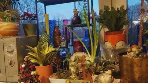 Влог__Бери Судьбу За Жабры. Рената Смирнова.202