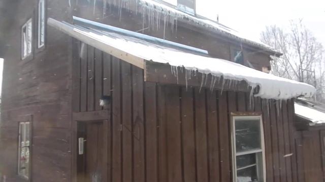 Repairing the 128 Year Old Anathoth Log House смотреть онлайн