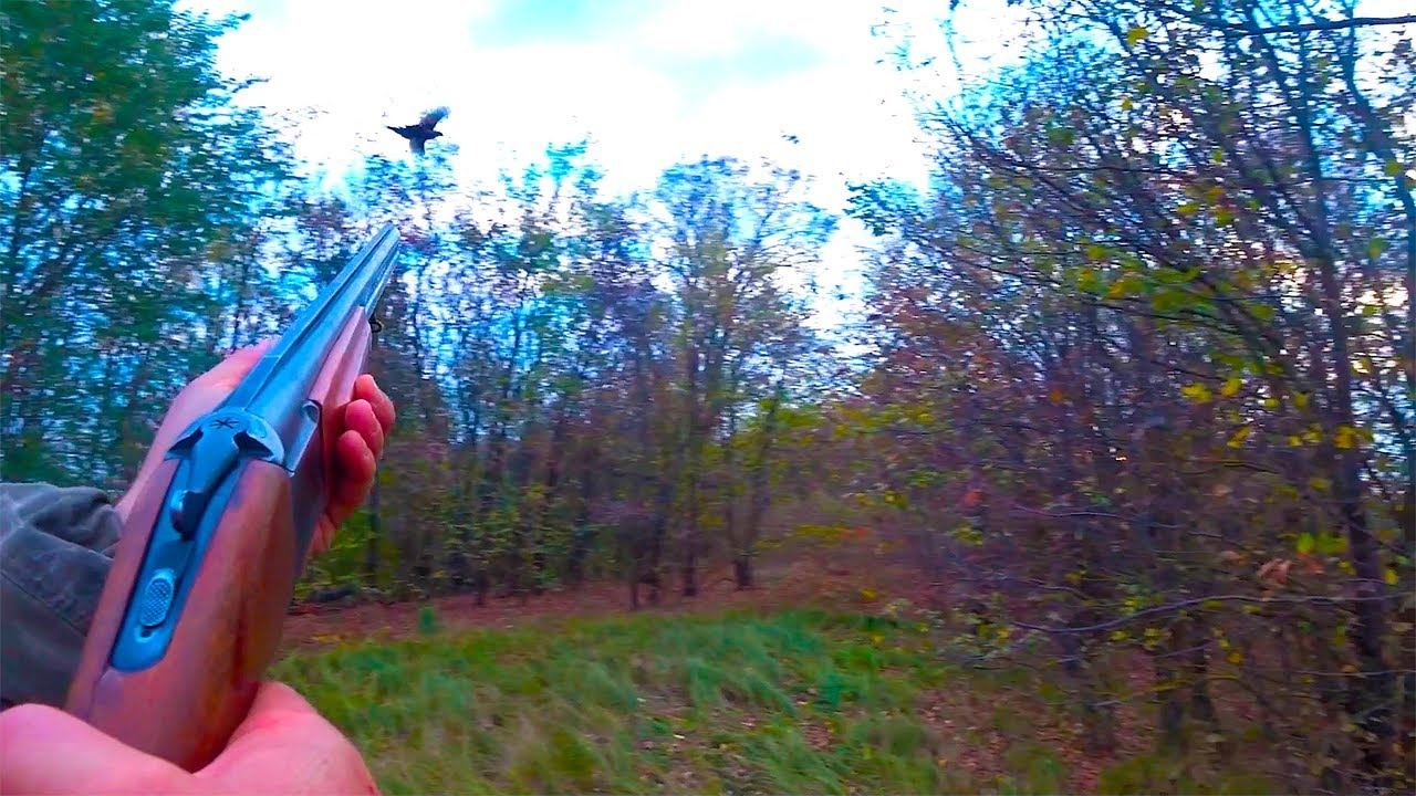 УТКИ ОКАЗАЛИСЬ ФАЗАНАМИ !!! смотреть онлайн