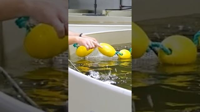 Как работает бредень смотреть онлайн