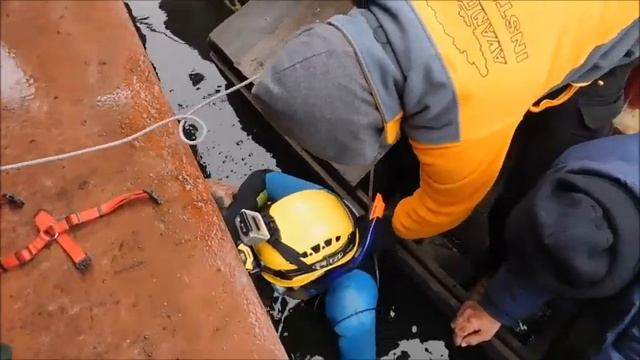Animal Rescue Serbia - Spasavanje psa iz vode / Dog rescue from water смотреть онлайн