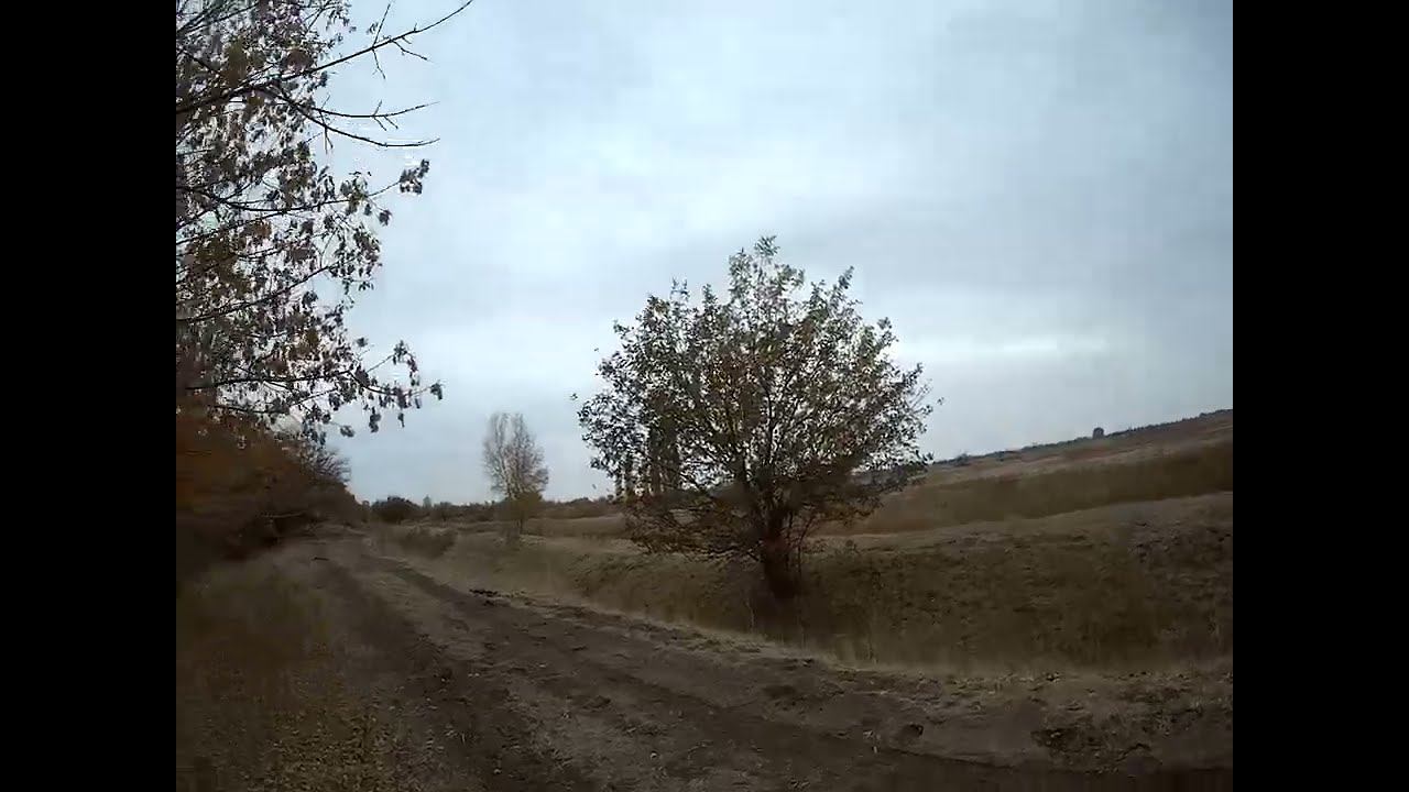 23.10.2024 ЧТО ДЕЛАТЬ? : ЛПХ В ОПАСНОСТИ смотреть онлайн