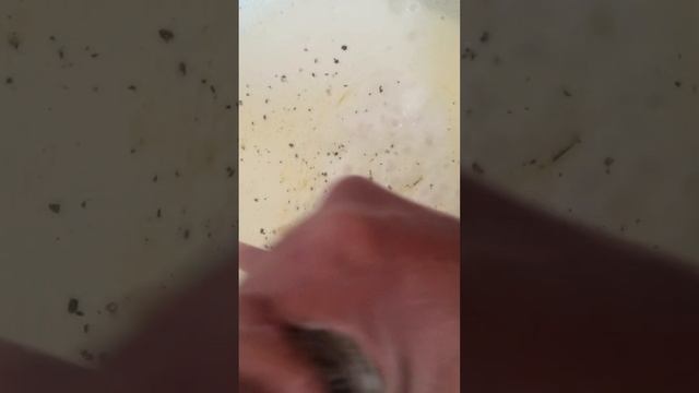 Salmon Carbonara - kaluun iyo Basta #youtubeshorts смотреть онлайн