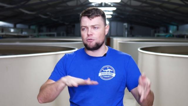 Проекты УЗВ ферм. Видео отзыв Заказчика. смотреть онлайн