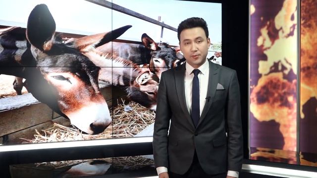 18.01.2020 Жума сону || Регион ТВ смотреть онлайн
