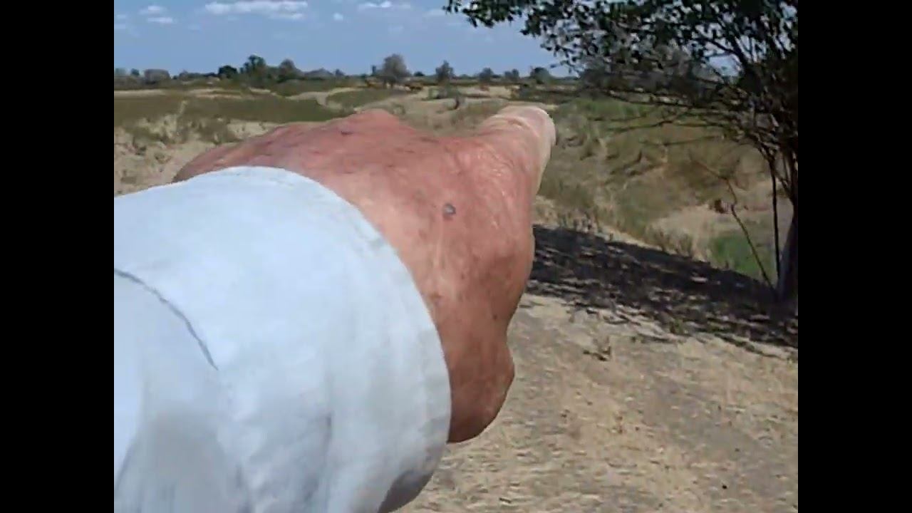 10.08.2024 ЧТО ДЕЛАТЬ? : ЛПХ В ОПАСНОСТИ смотреть онлайн