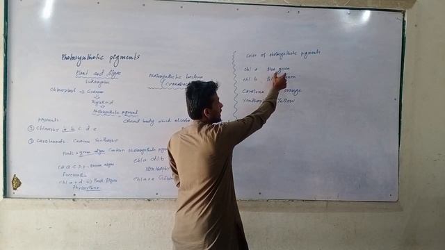 Lecture-2 (Bio-energetics) Photosynthetic pigment Live entry classes смотреть онлайн