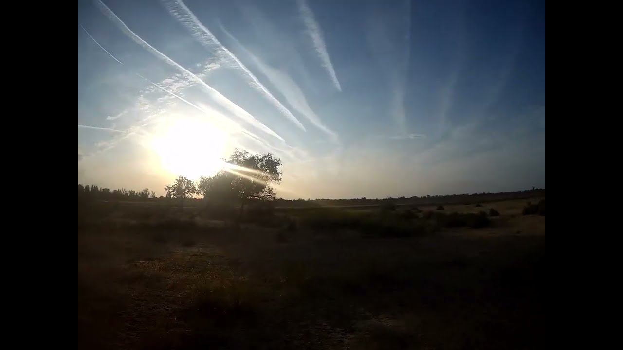 04.09.2024 ЧТО ДЕЛАТЬ? : ЛПХ В ОПАСНОСТИ смотреть онлайн