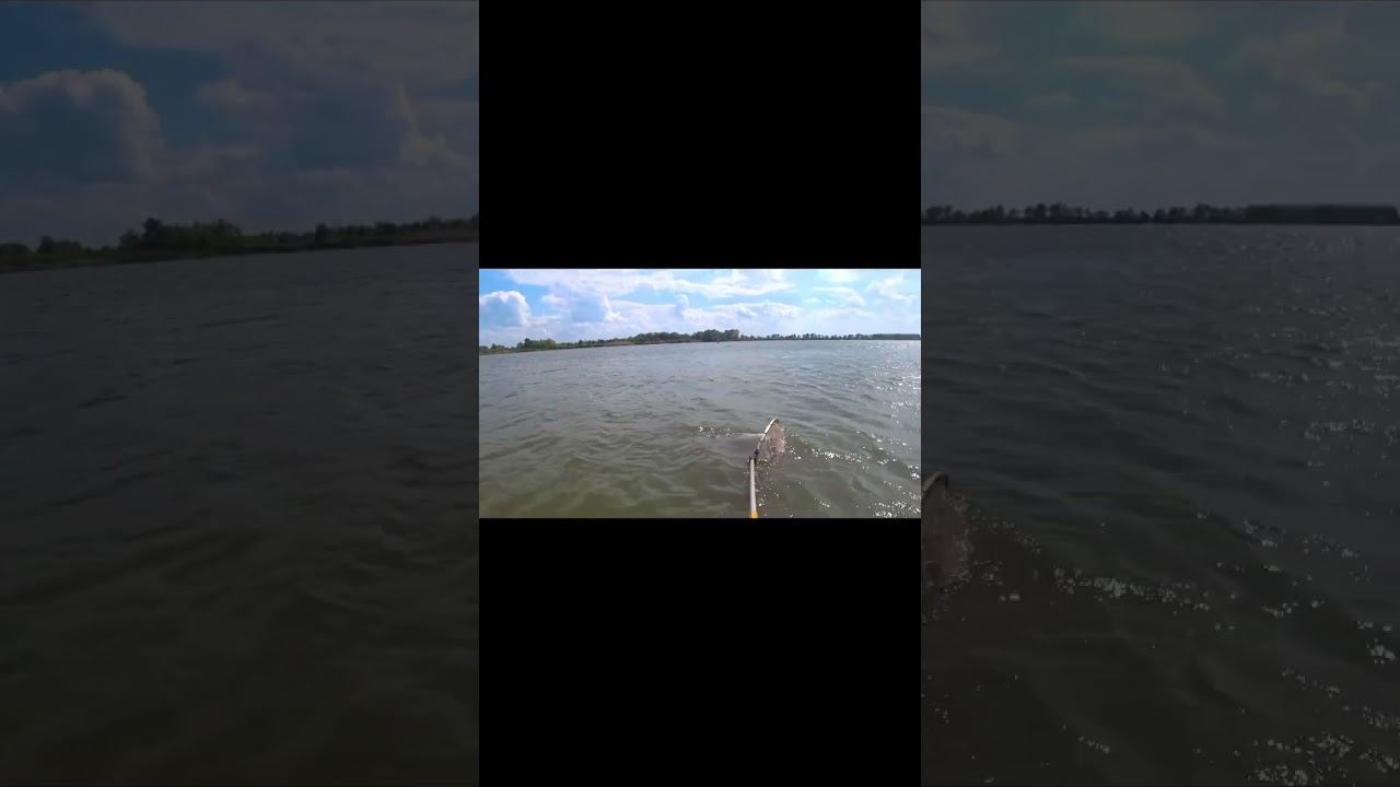 ОТ ЭТИХ МОНСТРОВ БОЛЯТ РУКИ !!! ДОН 2022 !!! 3 ЧАСТЬ #shorts смотреть онлайн