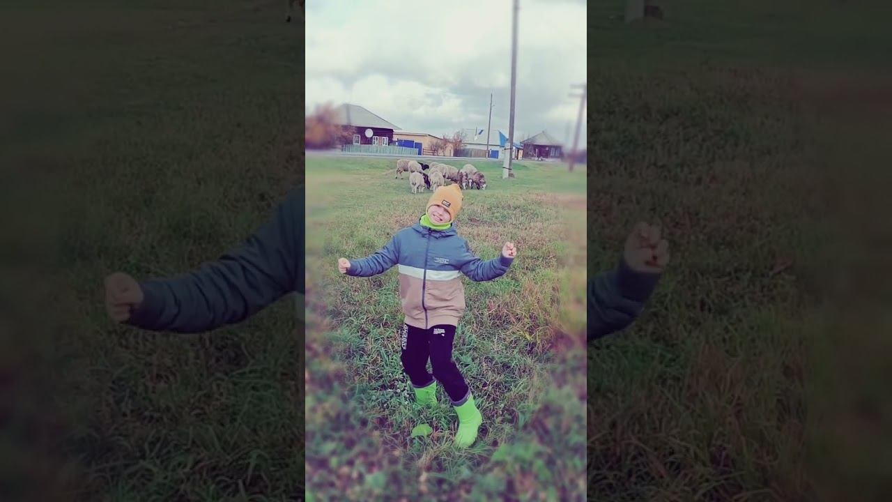 БаЮ бАю БаЮ бАй смотреть онлайн