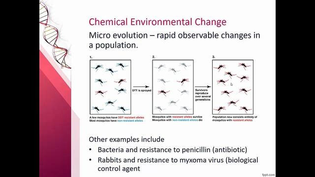 MHS HSC Biology - Blue Print Of Life - Changes That Affect Evolution