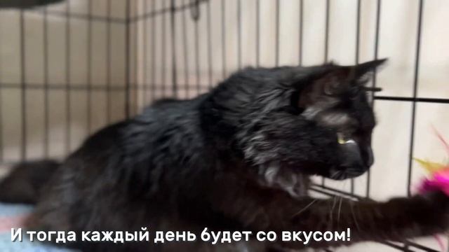 СУРЬМА смотреть онлайн