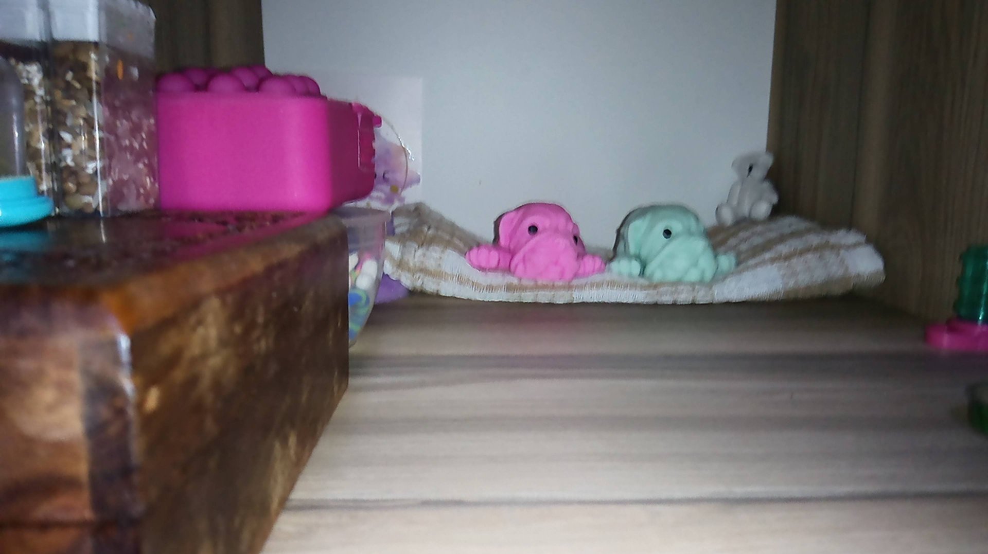 Первое видео, знакомство со сквиши собачками🐶🤩🥰 смотреть онлайн