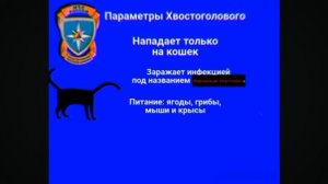 магнитошанская область