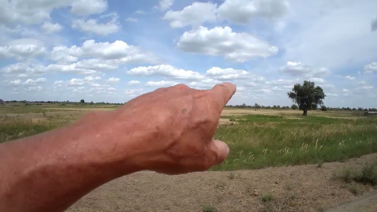 16.07.2023 И снова в кадре пастух Марченко смотреть онлайн