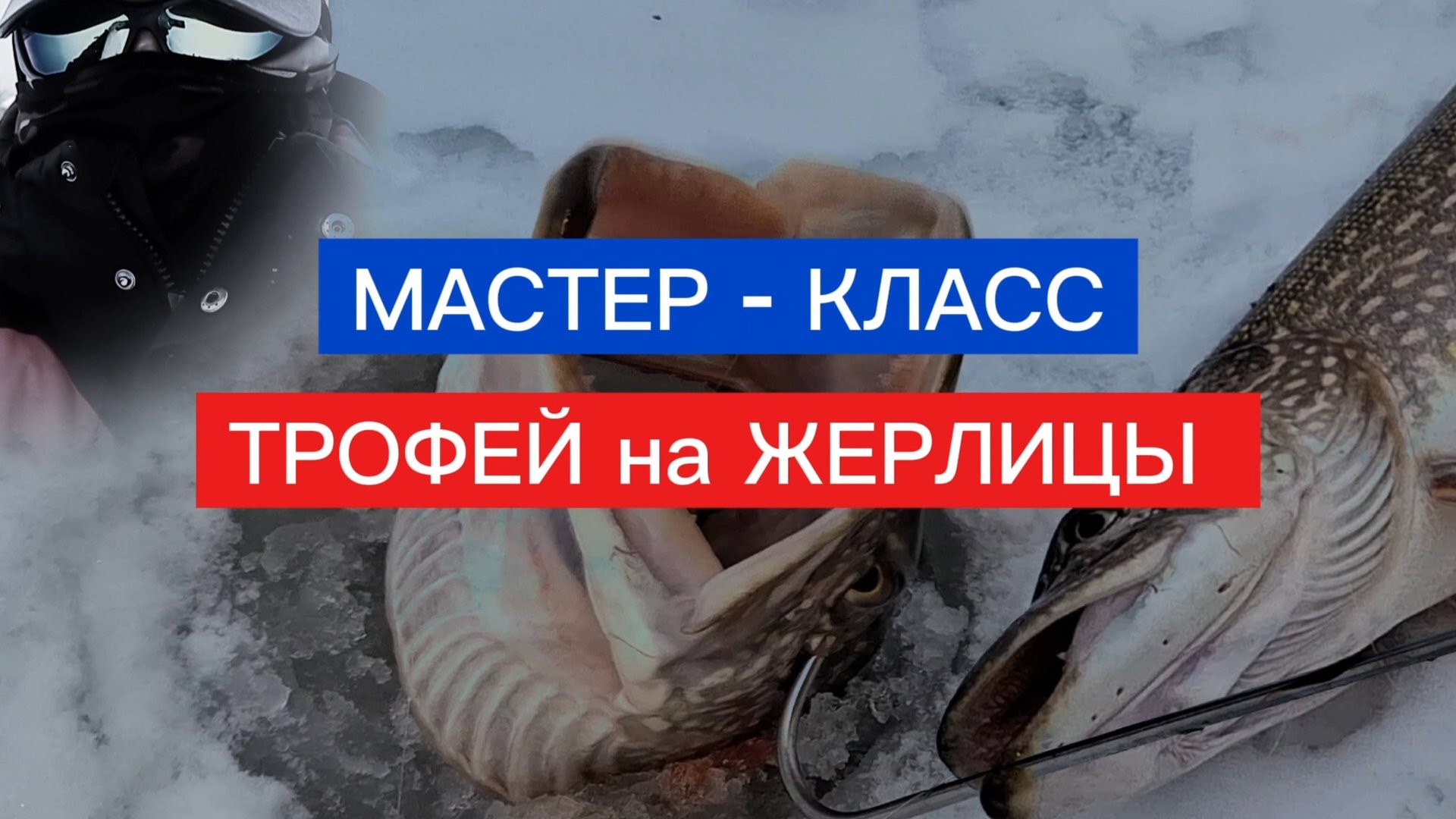 КРУПНАЯ ЩУКА на жерлицы! Снасть на щуку. ТРОФЕЙ на ЖЕРЛИЦЫ! МАСТЕР-КЛАСС! смотреть онлайн