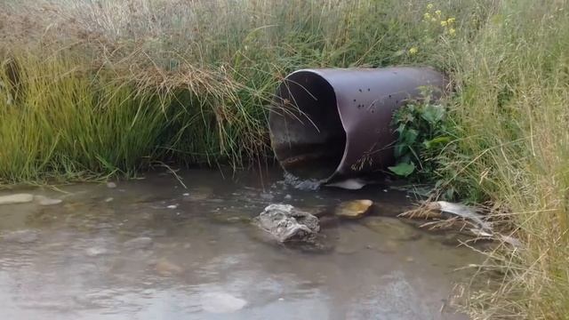 Зелимхан Тарамов песня суна седа бу хьо смотреть онлайн