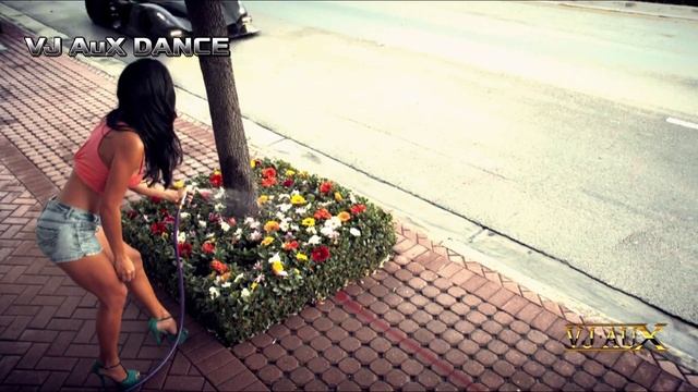 Dr. Alban & Pitbull - This Time I'm Free (Hudy John Remix) VJ AuX смотреть онлайн