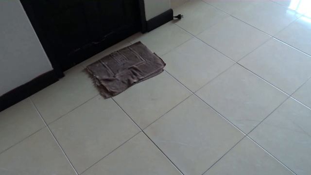 MID RANGE HOTEL IN SOI HONEY смотреть онлайн