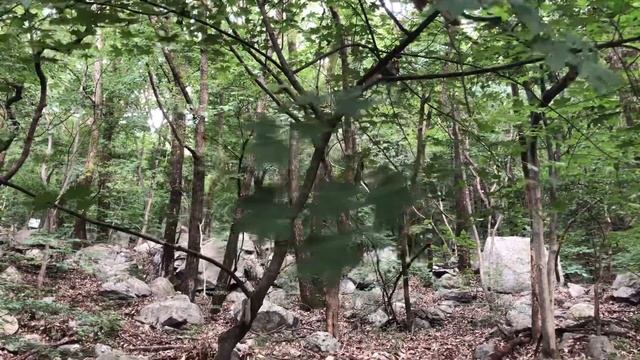 flow induced vibration 2 смотреть онлайн