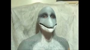 Кто такой человек дельфин?(бригада)