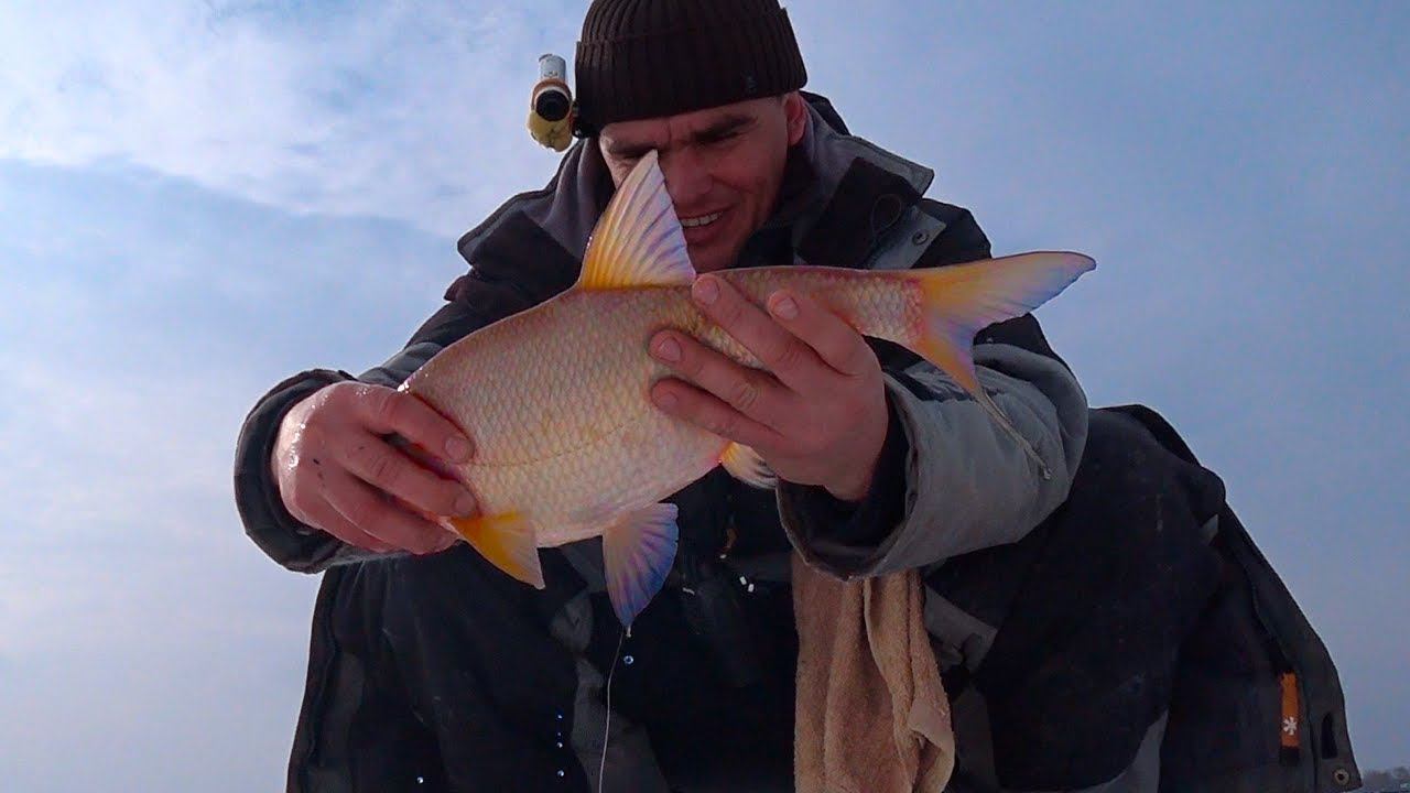 НА ВВ ВСЕГДА КЛЮЁТ !!!! смотреть онлайн