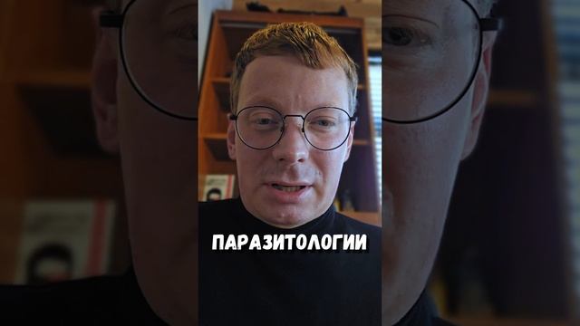 Чувствуете себе хозяином своей жены? смотреть онлайн