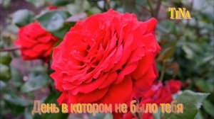 Красивая музыка! День в котором не было тебя 💞