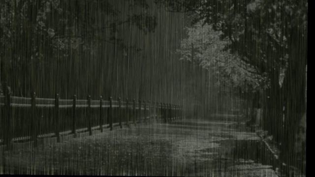 Сатсанг √ 12 Всё это сон. Роберт Адамс. смотреть онлайн